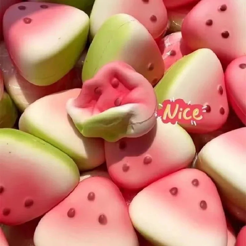 Watermelon squishy