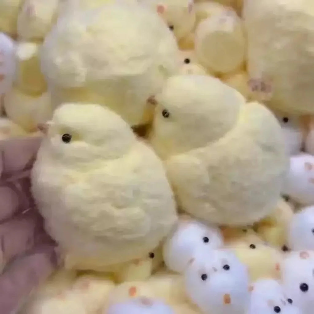 Chick squishy