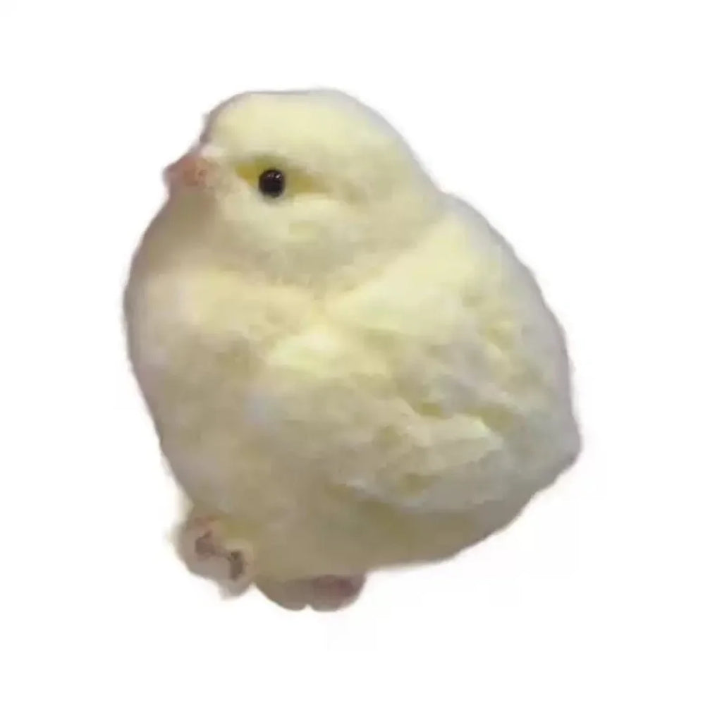 Chick squishy