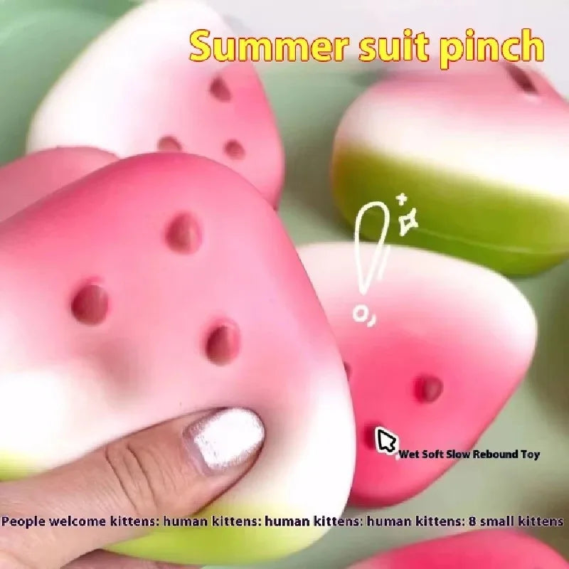 Watermelon squishy